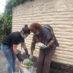 Población Trans vulnerable ante Covid19 recibieron canastas de alimentos Donacic3b3n De Canastas Y Alimentos Por Parte De La Asociacic3b3n Silueta X Centro Pisco Trans Y La Camara Lgbt De Comercio Ecuador Covid19 Apoyo Prefectura De Pichincha 23 150x150